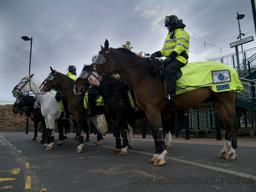 PA253774 
 Police horses 
 Keywords: police horse police man crowd control football sport street urban helmet riot yellow animal working beat bobby
