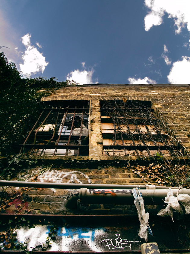 P3302538 
 Building in Harringay 
 Keywords: urban graffiti window building smashed run down delapidated decay brick